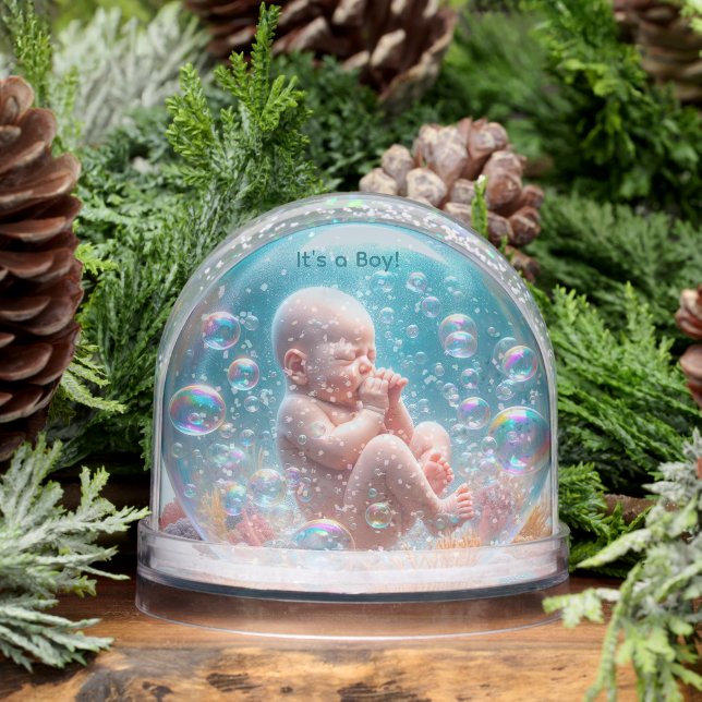 Geburtserklärung Snow Globe Schneekugeln (Winter)