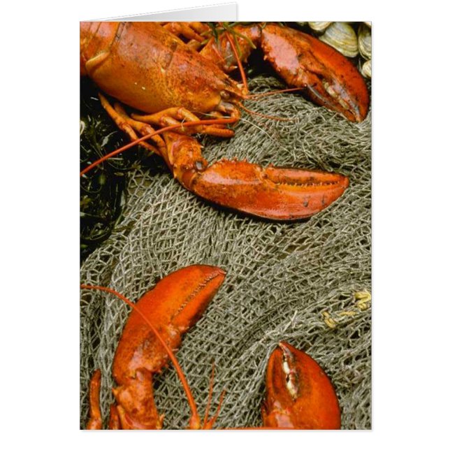 Geburtshelfer (Vorne)