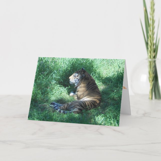 Geburtskarte "Amur Tiger" Karte (Vorderseite)