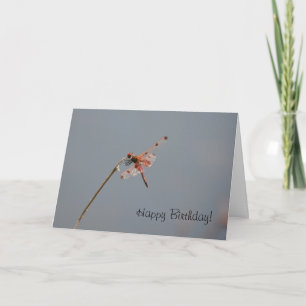 Geburtskarte der Dragonfly Karte
