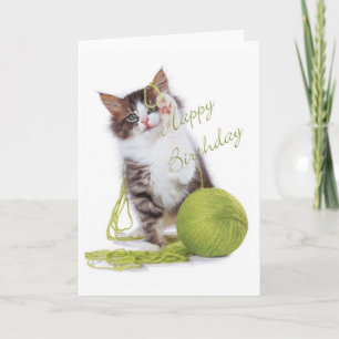 Geburtskarte der Katze Karte