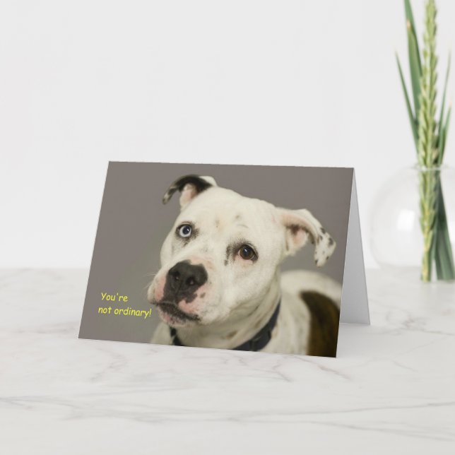 Geburtskarte des Hundes Karte (Vorderseite)