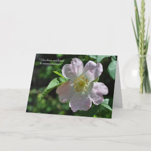 Geburtskarte in tschechischer Sprache Karte