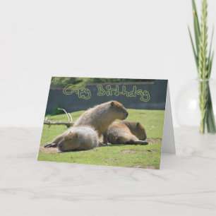 Geburtskarte mit Capybara Karte