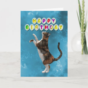 Geburtskarte mit Kalico-Katzen Karte