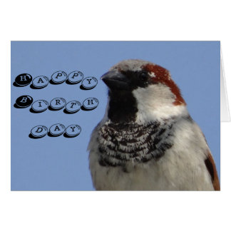 Geburtskarte niedlicher kleiner Vogel