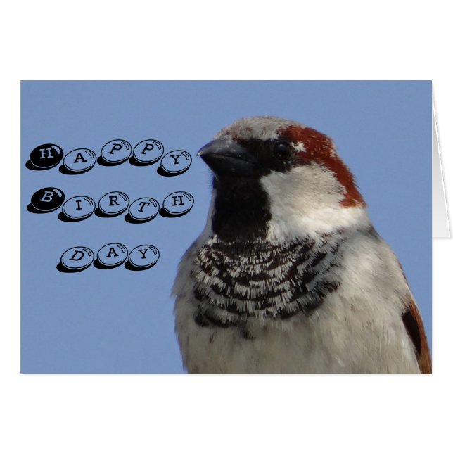 Geburtskarte niedlicher kleiner Vogel (Vorderseite (Horizontal))