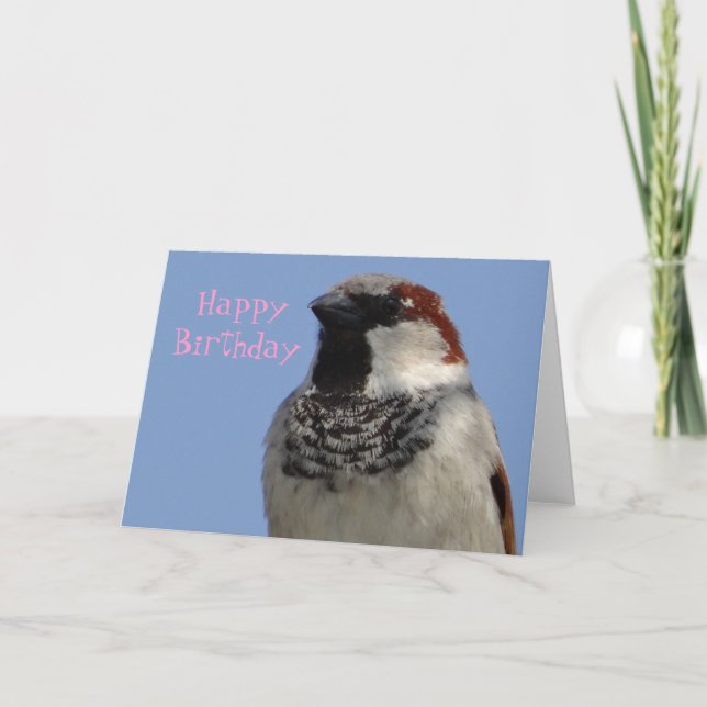 Geburtskarte niedlicher kleiner Vogel Karte (Vorderseite)