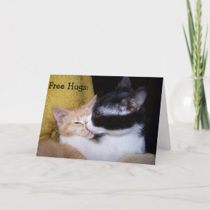 Geburtskarte: Sweet Kittens gibt gratis Hugs! Karte