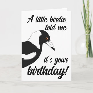 Geburtskarte von Little Birdie Karte