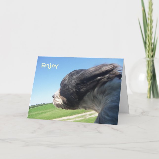 Geburtskarte von WindSwept Hund Karte (Vorderseite)