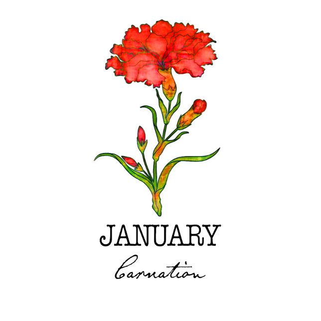 Geburtsmonat Januar Blume Carnation Hoodie (Von Creator hochgeladen)