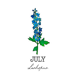 Geburtsmonat Juli Larkspur Blume T-Shirt
