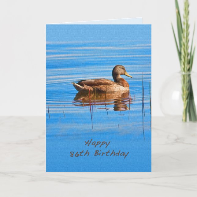 Geburtstag, 86., Mallard Duck Karte (Vorderseite)