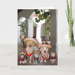 Geburtstag aus der Gruppe Spanisch Karte