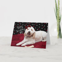 GEBURTSTAG BESTE FREUNDIN - GOLDENER DOODLE HUND