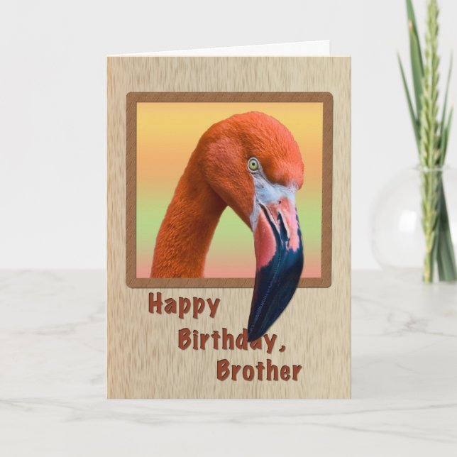 Geburtstag, Bruder, Flamingo Bird Karte (Vorderseite)