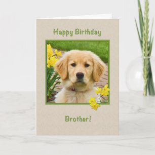 Geburtstag, Bruder, Golden Retriever Dog, Affodien Karte