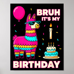 Geburtstag Bruh Es ist mein Geburtstag Lustiger Ge Poster