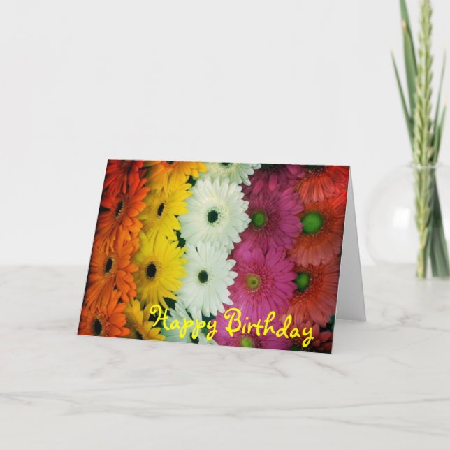 Geburtstag card~ buntes Gerbera-Gänseblümchen Karte (Vorderseite)