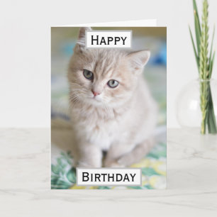 Geburtstag Cat Vater World's Best Ever Pet Foto Karte