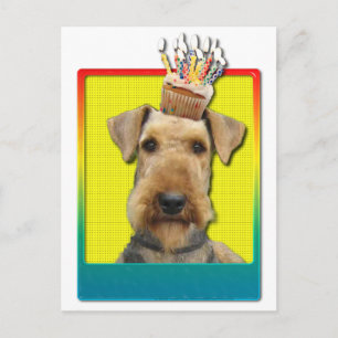 Geburtstag Cupcake - Airedale Postkarte