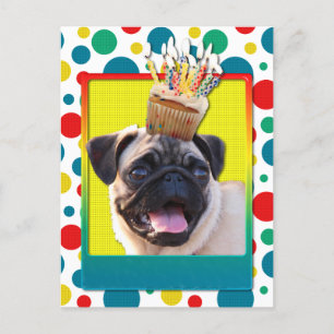 Geburtstag Cupcake - Mops Postkarte