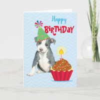 Geburtstag Cupcake Pit Bull