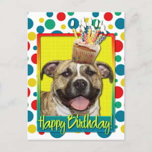 Geburtstag Cupcake - Pitbull - Tigger Postkarte