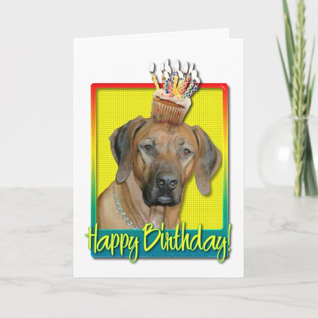 Geburtstag Cupcake - Rhodesian Ridgeback Karte (Vorderseite)