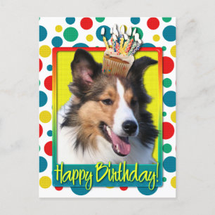 Geburtstag Cupcake - Sheltie Postkarte