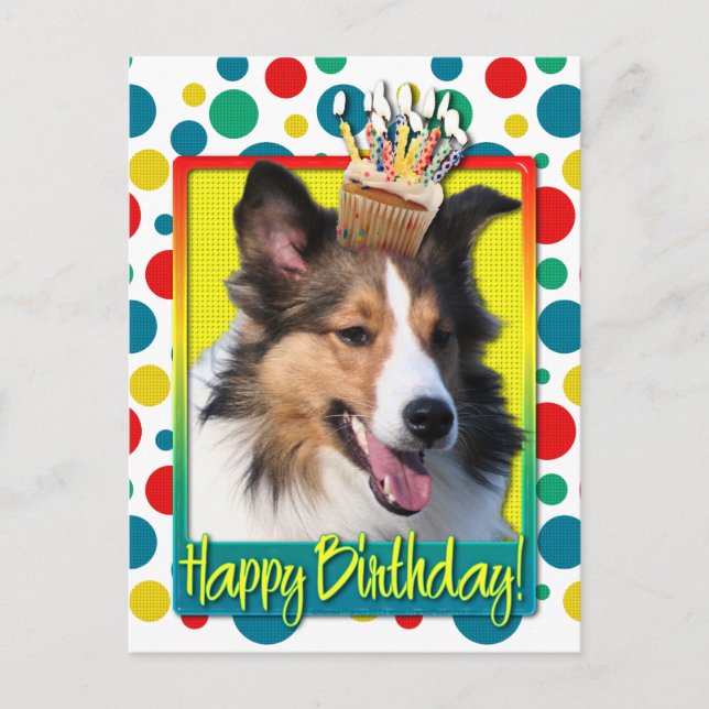 Geburtstag Cupcake - Sheltie Postkarte (Vorderseite)