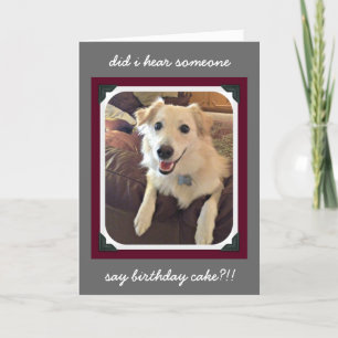 Geburtstag der Niedlichen Hunde - Geburtstagskuche Karte