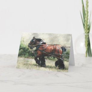 Geburtstag der Pferdetruppe Karte