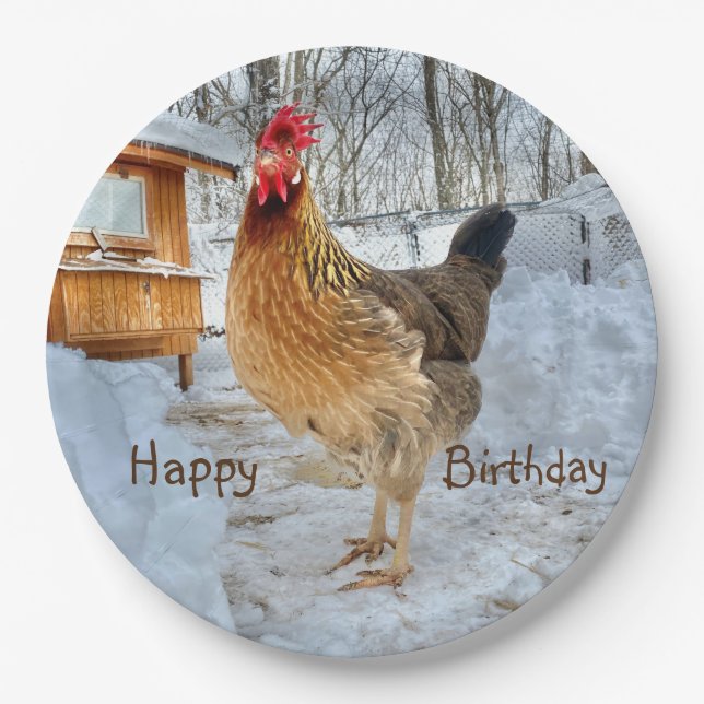 Geburtstag des verzierten Hühnchens Pappteller (Vorderseite)