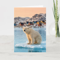 Geburtstag Eisbär aus Grönland auf Eisscholle trei