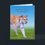 Geburtstag, Enkel, Tiger-Gehen Karte<br><div class="desc">Dieser grün-mit Augen Tiger ist bereit,  jemand alles Gute zum Geburtstag auf dieser bunten Grußkarte zu wünschen speziellem.</div>