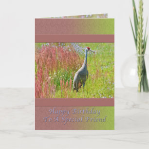Geburtstag, Freund, Sandhill Crane Bird Karte