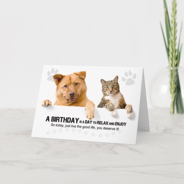 Geburtstag Funny Cat and Dog on White for Pet Love Karte (Vorderseite)