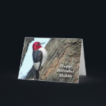 Geburtstag für Husband Hubby, Red-Head Woodpecker Karte<br><div class="desc">Auf dieser lustigen Geburtstagskarte (BIRDday) für einen Ehemann (hubby) wird ein roter Woodpecker vorgestellt.</div>
