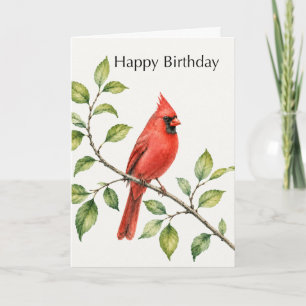 Geburtstag für ihn Roter Kardinal auf Zweig Karte