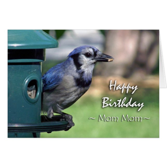Geburtstag für Mama Mama, Blue Jay am Vogeleinzug (Vorderseite (Horizontal))