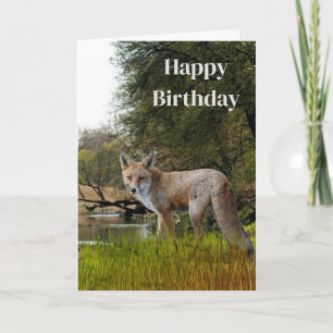 Geburtstag für Männer Rotfuchs Wildnis und Natur Karte