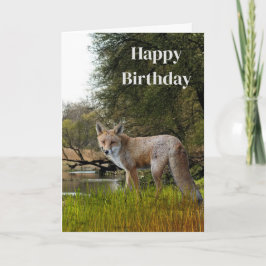 Geburtstag für Men Red Fox Wildlife and Nature Karte