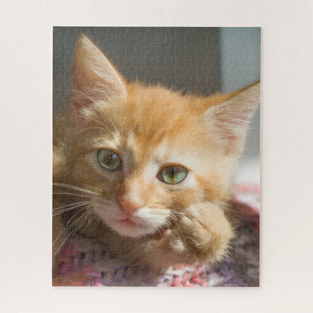 GEBURTSTAG GINGERKATZE KÄTZCHEN  PUZZLE (Vertikal)