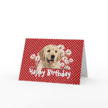 Geburtstag Golden Retriever auf Polka Dots