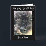 GEBURTSTAG **GRANDSON** KARTE<br><div class="desc">HABEN SPASS,  DIESE KARTE ZU SENDEN ODER ZU GEBEN,  UM ER WIRD LIEBE ERHALTEN SIE VON "DIR" SICHER. ICH LIEBE DIESE KARTENZEILE UND ICH DANKE IHNEN,  DASS SIE VON 1 MEINER 8 GESCHÄFTE GESCHLOSSEN SIND.</div>
