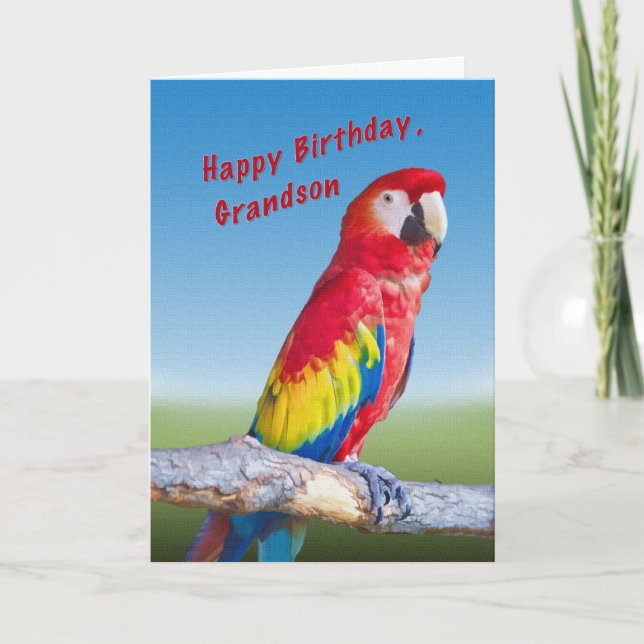 Geburtstag, Grandson, Macaw Parrot Karte (Vorderseite)