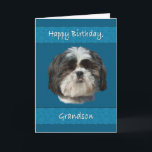 Geburtstag, Grandson, Shih Tzu Dog Karte<br><div class="desc">Dieser kleine schiitische Tzu-Hund mit seinem niedlichen,  kuscheligen Gesicht verleiht jedem Liebhaber von Haustieren einen besonderen Reiz.  Besonders schön ist es für eine Geburtstagskarte.</div>