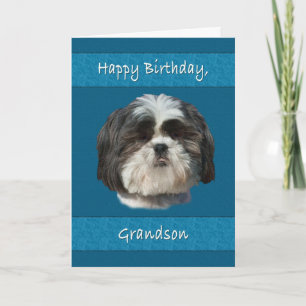 Geburtstag, Grandson, Shih Tzu Dog Karte